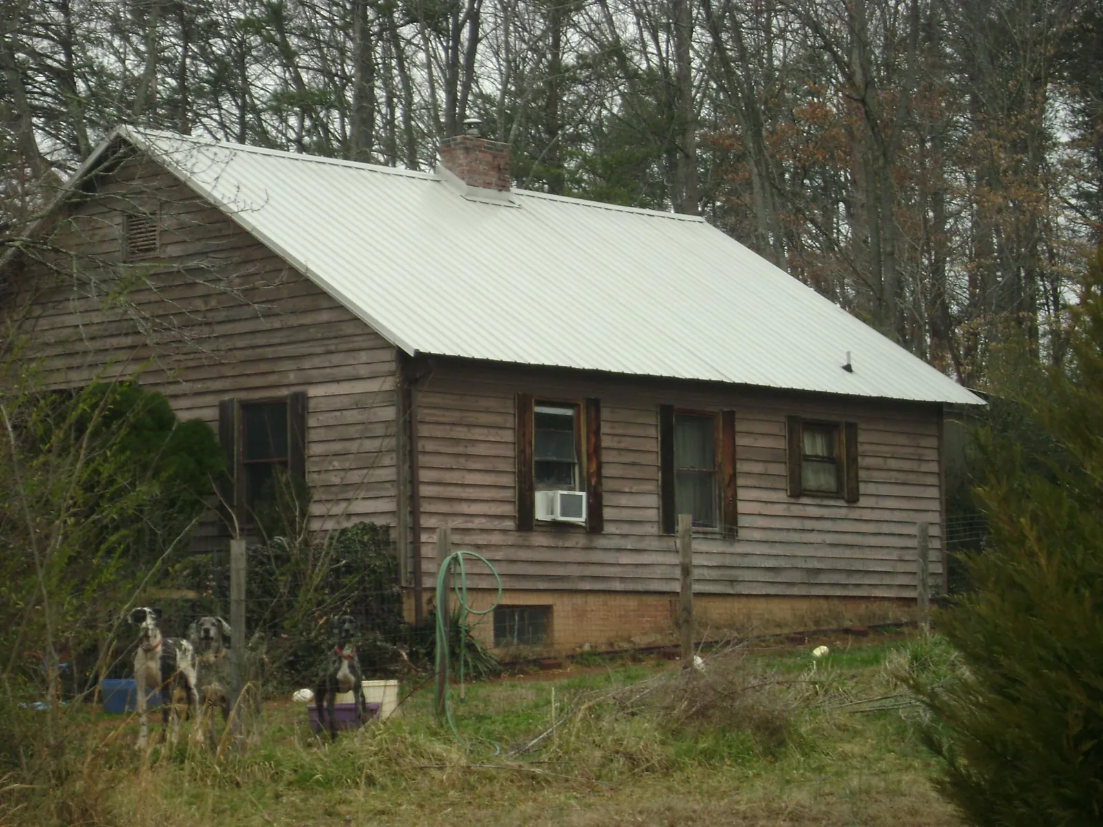 White metal roof on an old wood sided farmhouse, from a Asphalt Shingle Roof Repair job in Salt Lick